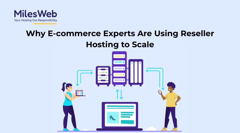 Why E-commerce Experts Are Using Reseller Hosting to Scale 1 Why Ecommerce Expert Using Reseller Hosting